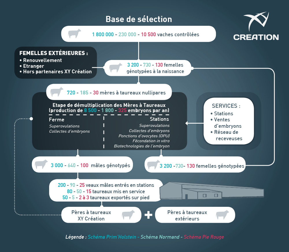 Rencontres internationales de recherche biomedicale