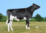 ALTEREGO P_FR3572754054_Classique
