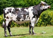 VOLNAY_FR7277556158_Classique_BD (1)