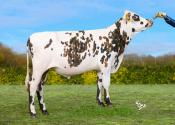 UMANIDAD_FR5380803957_Classique_BD