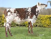 UGOSVILLE_FR5029440765_Classique_BD (1)