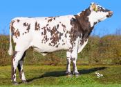 VALORIAN_FR4118995869_Classique_BD (1)